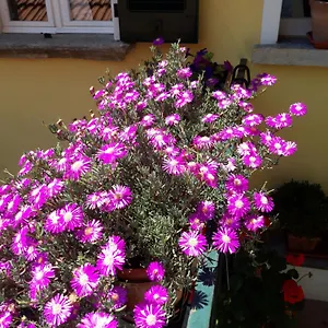 Casa Azzurra Menaggio
